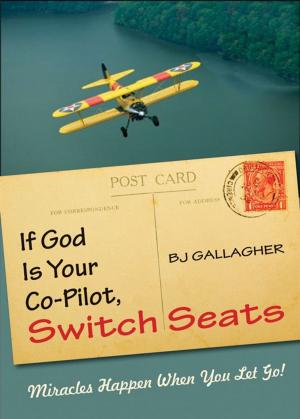 Cover of the book If God Is Your Co-Pilot Switch Seats: Miracles Happen When You Let Go by Stephen T. Asma