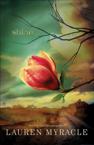 Cover of the book Shine by John Donohue