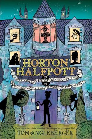 Cover of the book Horton Halfpott by Yvette van Boven, Oof Verschuren