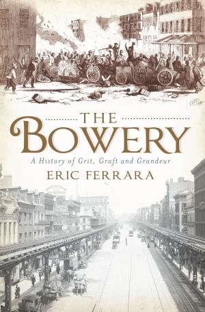 Cover of the book The Bowery by Monica B. Morris