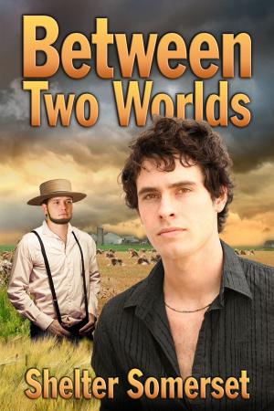 Cover of the book Between Two Worlds by Charlie Cochet