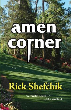 Cover of the book Amen Corner by Harlen Campbell