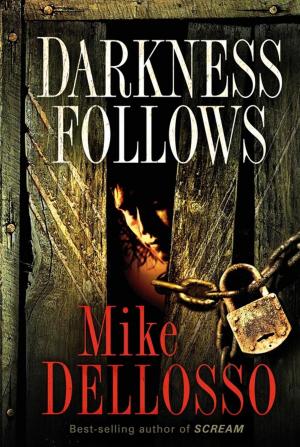 Cover of the book Darkness Follows by Joseph Christiano