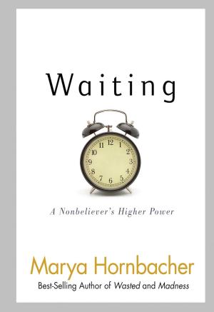 Cover of the book Waiting by Didier Michaud