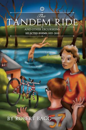 bigCover of the book The Tandem Ride and Other Excursions: Poems 1955-2010 by 