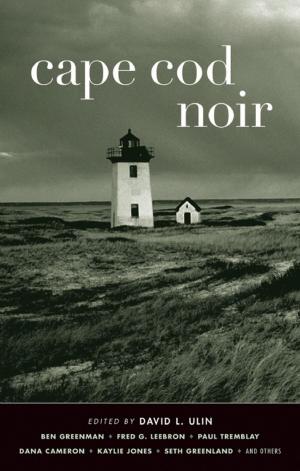 Cover of the book Cape Cod Noir by David Yow