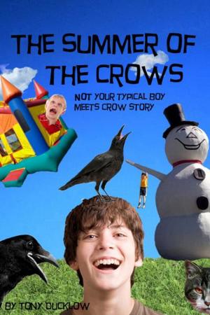 Cover of the book The Summer of the Crows by Rev. Kory Wilcoxson