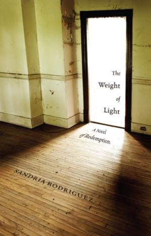 Cover of the book The Weight of Light: A Novel of Redemption by John Clower