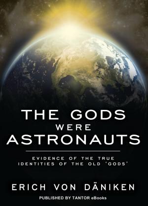 Cover of the book The Gods Were Astronauts: Evidence of the True Identities of the Old 'Gods' by Gerard Helferich