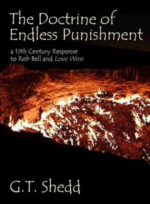 Cover of the book The Doctrine of Endless Punishment by Owen Wister