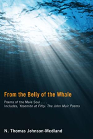 Cover of the book From the Belly of the Whale by J. Brian Tucker