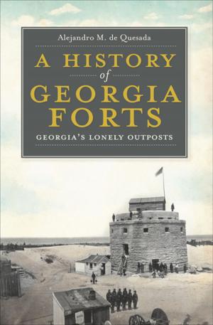 Cover of the book A History of Georgia Forts by Sam Baltrusis