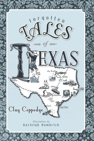 Cover of the book Forgotten Tales of Texas by Maryan Pelland, Dan Pelland