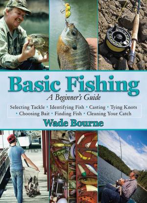 Cover of the book Basic Fishing by Kimberly Mehlman-Orozco, Ph.D