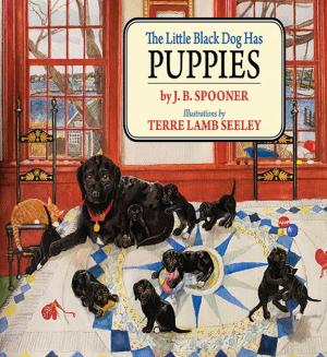 Cover of the book The Little Black Dog Has Puppies by David Adams Richards