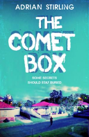 Cover of the book The Comet Box by Anthea Hodgson