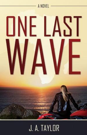 Cover of the book One Last Wave by Anna Wozniak