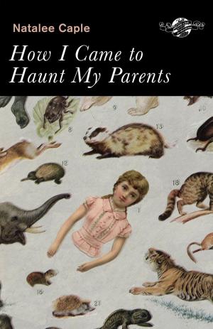 Cover of the book How I Came to Haunt My Parents by Cordelia Strube