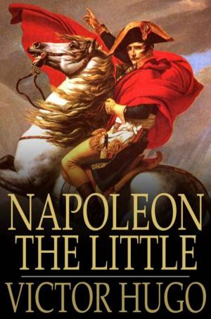 Cover of the book Napoleon the Little by Thomas Clark Hinkle