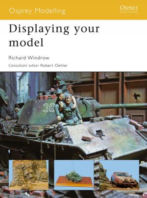 Cover of the book Displaying your model by Owen Matthews