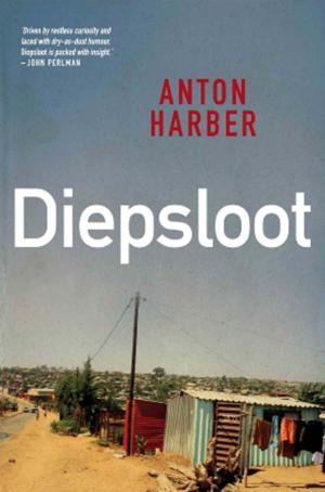 Cover of the book Diepsloot by Mark Shaw