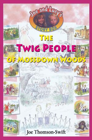 Book cover of The Twig People of Mossdown Woods