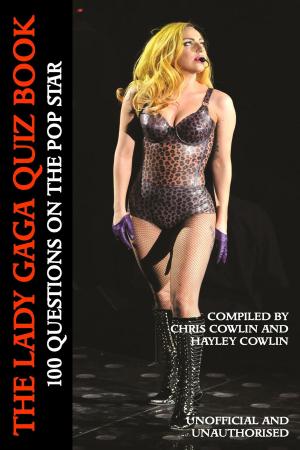 Cover of the book The Lady Gaga Quiz Book by Jim Potts