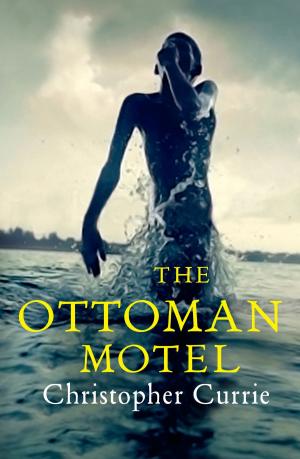 Book cover of The Ottoman Motel