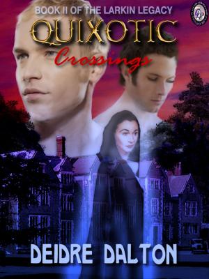 Cover of the book Quixotic Crossings by R. Richard