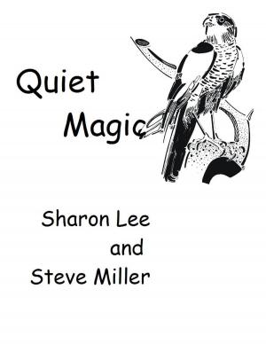 Book cover of Quiet Magic