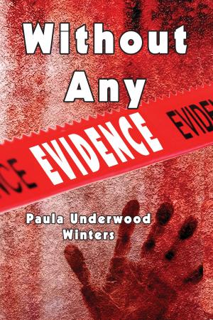 Cover of the book Without Any Evidence by Lisa Clancey