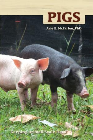 Cover of the book Pigs by Peggy Swager