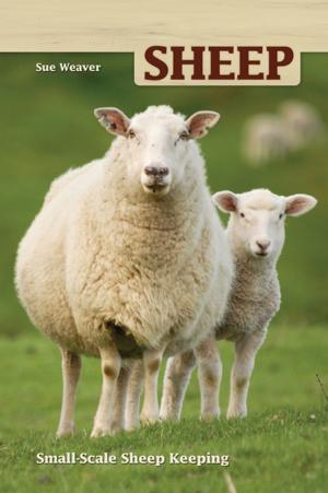 Cover of the book Sheep by 