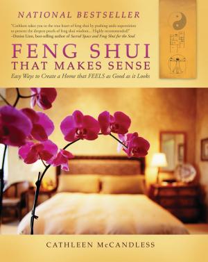 bigCover of the book Feng Shui that Makes Sense by 