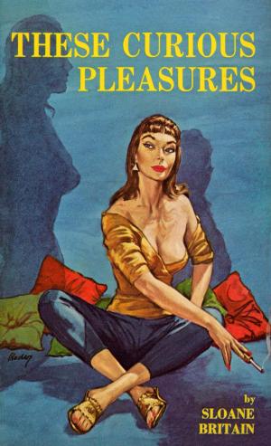 Cover of the book These Curious Pleasures by Vin Packer