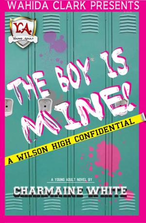 bigCover of the book The Boy Is Mine! by 