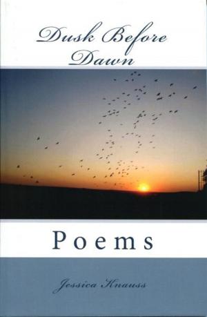 Cover of the book Dusk Before Dawn by Antonio de Villegas