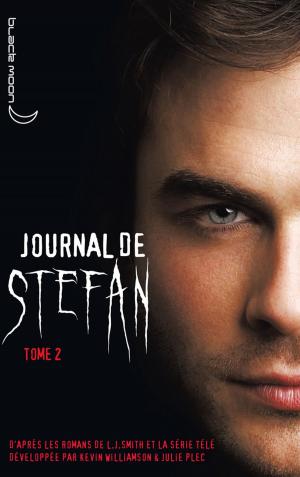 Cover of the book Journal de Stefan 2 by Salla Simukka
