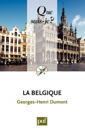 Cover of the book La Belgique by Marcel Conche