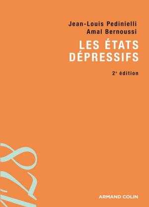 Cover of the book Les états dépressifs by Daniel Boy, Matthieu Brugidou, Charlotte Halpern, Pierre Lascoumes