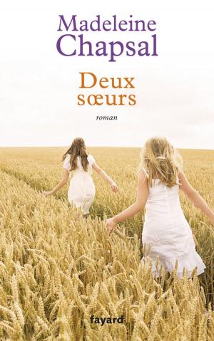 Cover of the book Deux soeurs by Michel Del Castillo