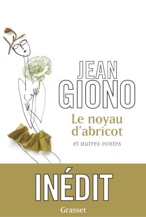 Cover of the book Le noyau d'abricot et autres contes by Joe Head