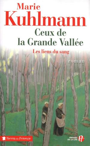 Cover of the book Ceux de la grande vallée by Colum MCCANN
