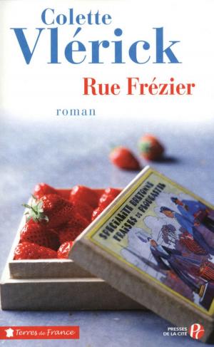 Cover of the book Rue Frézier by Bernard LECOMTE