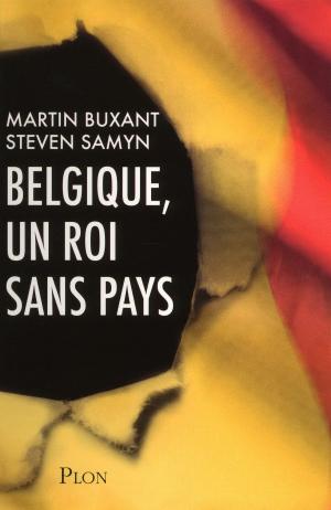 Cover of the book Belgique, un roi sans pays by Gisèle HALIMI