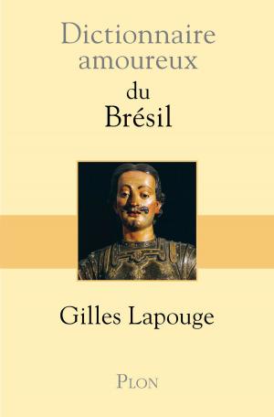Cover of the book Dictionnaire amoureux du Brésil by Georges SIMENON