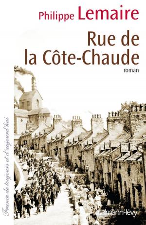 Cover of the book Rue de la côte-chaude by Jean-Pierre Winter