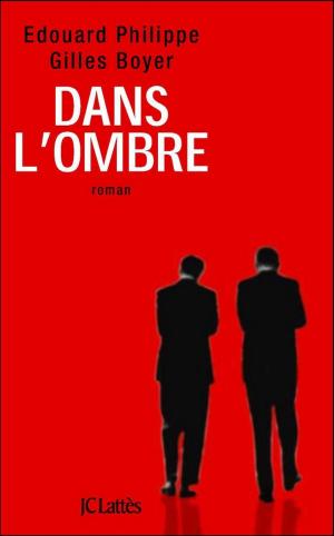 Cover of the book Dans l'ombre by Xavier de Moulins