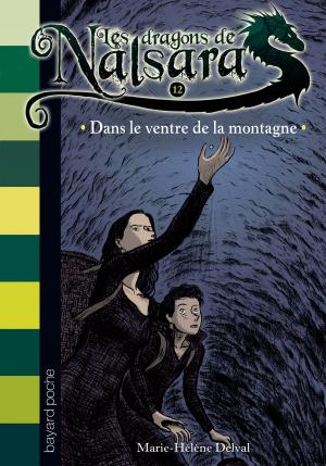 Cover of the book Les dragons de Nalsara, Tome 12 by Claude Merle