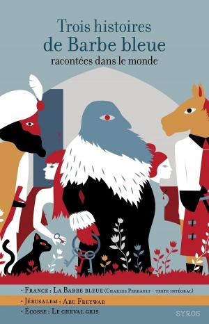 Cover of the book Trois histoires de Barbe bleue by Jean-Christophe Tixier